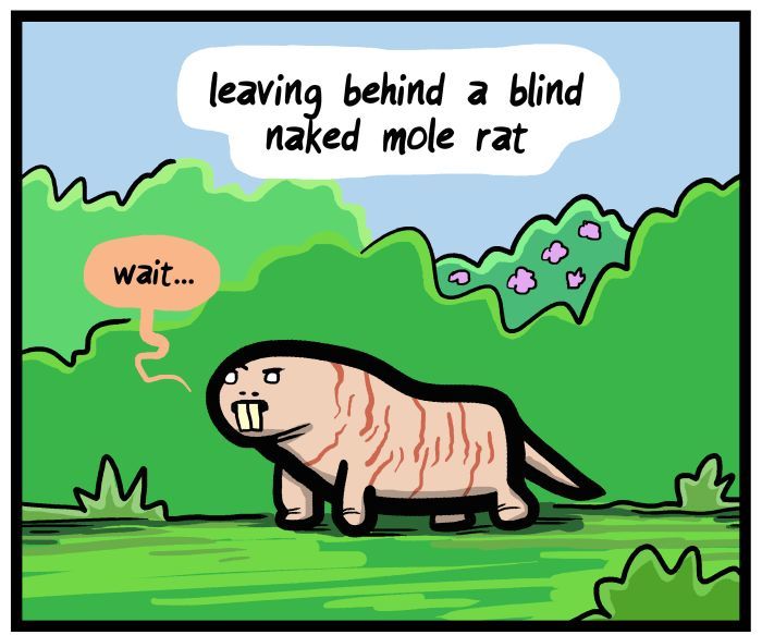 1111 Animals Chapter 67 page 8 - Chapter 67