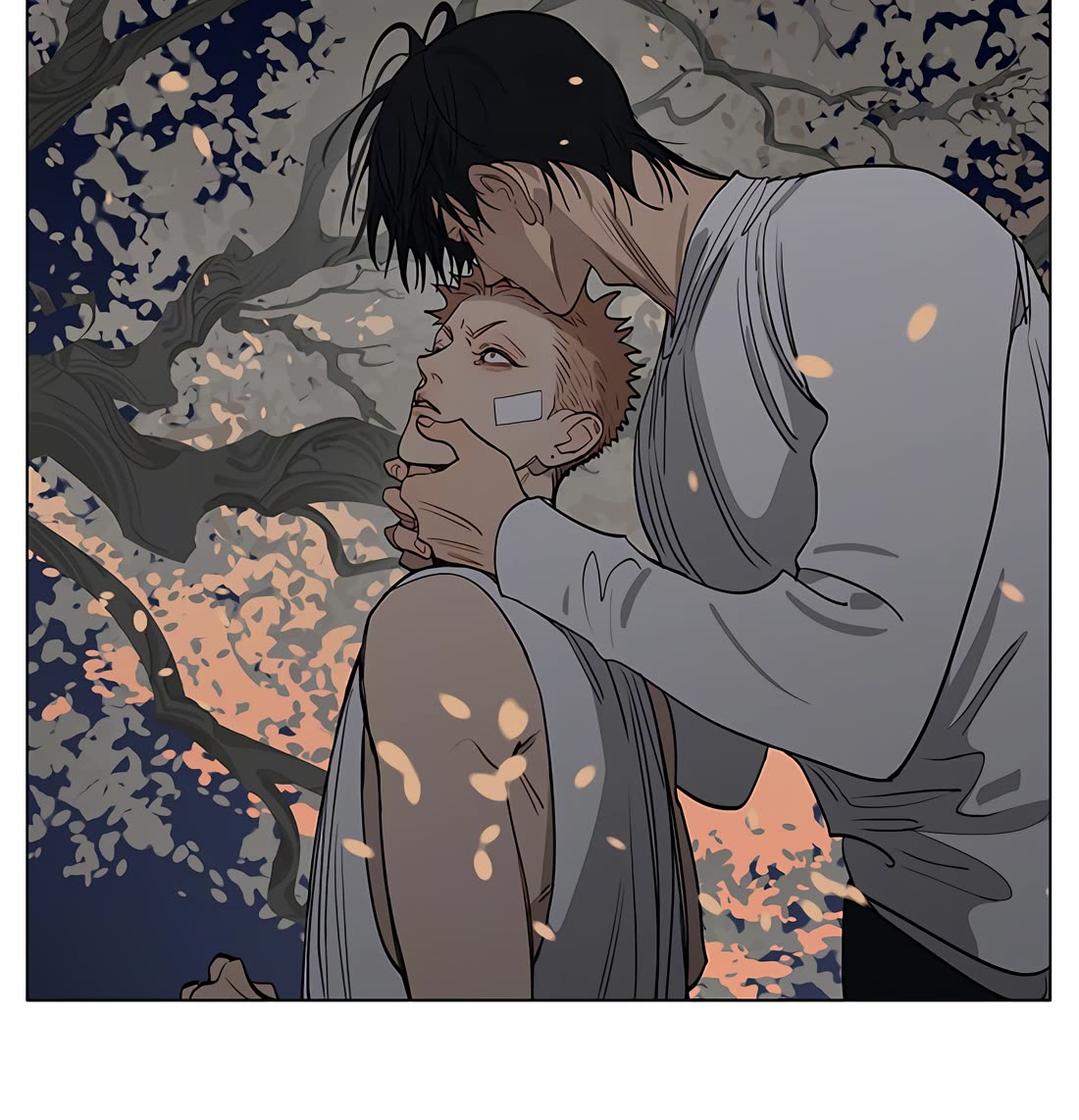 19 Days Chapter 443 page 16 - Chapter 443: Evening Breeze