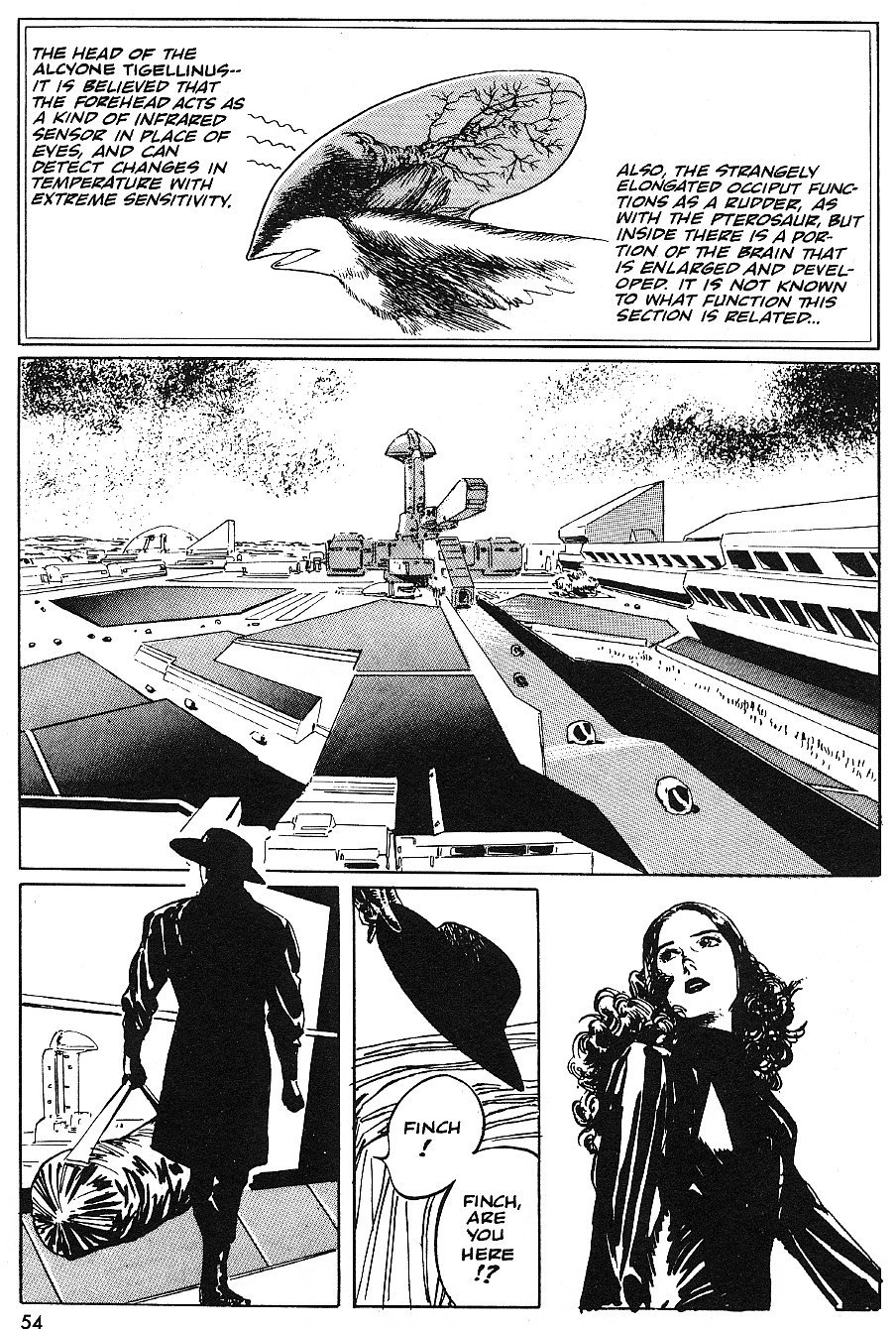 2001 Nights Chapter 15 page 14 - Chapter 15: An Hour's Song in a Birdless Sky