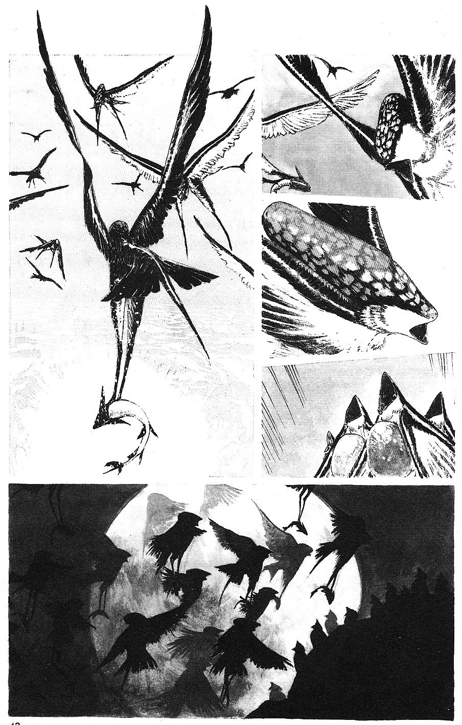 2001 Nights Chapter 15 page 2 - Chapter 15: An Hour's Song in a Birdless Sky