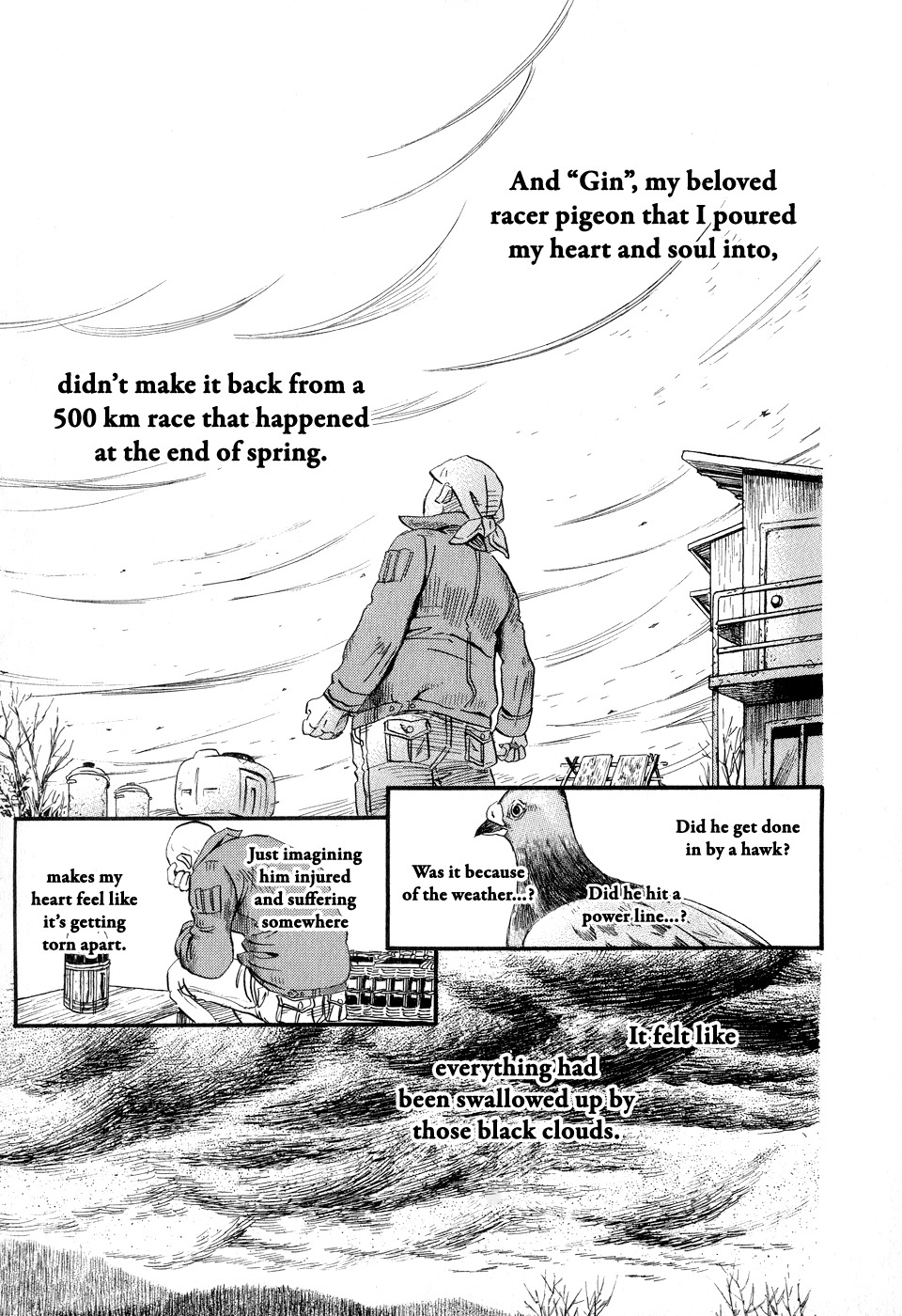 3-gatsu no Lion Chapter 64 page 16 - Chapter 64: Silver Wings