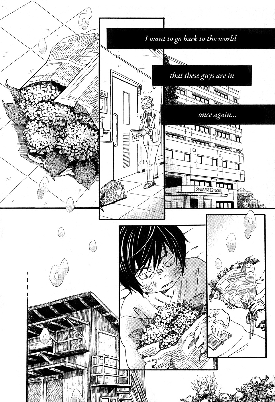 3-gatsu no Lion Chapter 64 page 21 - Chapter 64: Silver Wings
