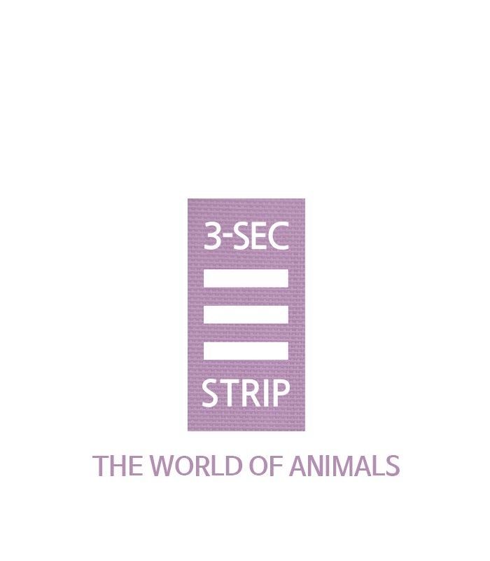 3-Second Strip Chapter 488 page 1 - Chapter 488 : The World Of Animals