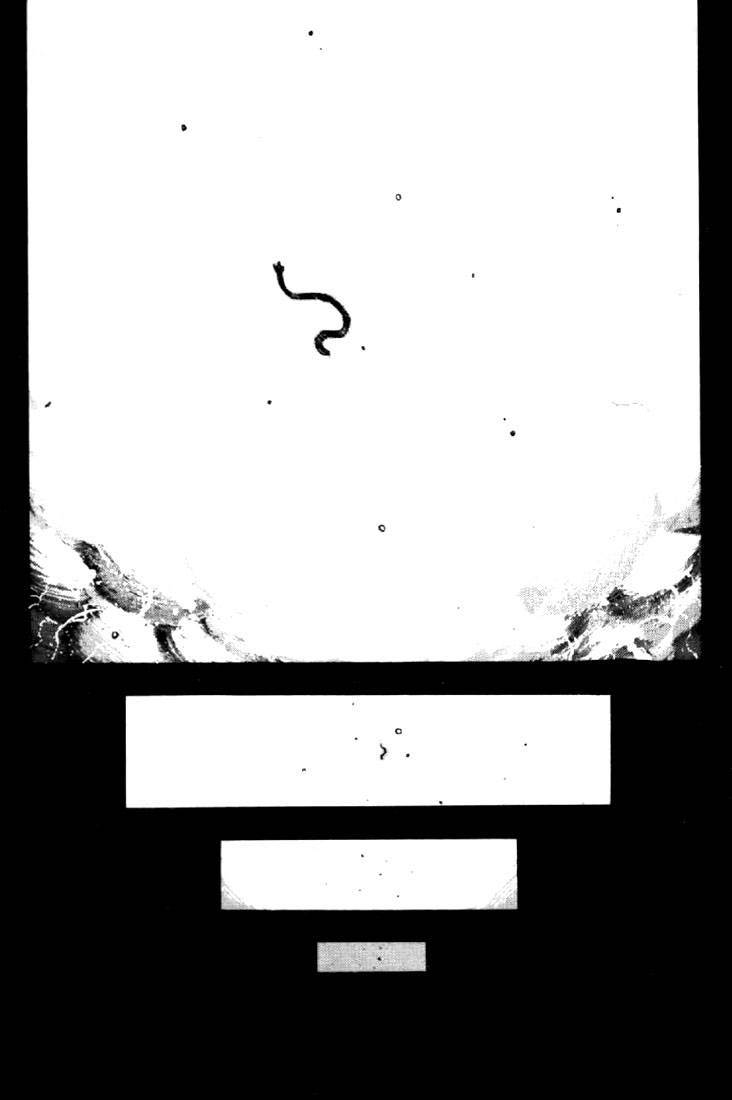 3x3 Eyes Chapter 56 page 10 - Chapter 56: Return of the Seima - Part V