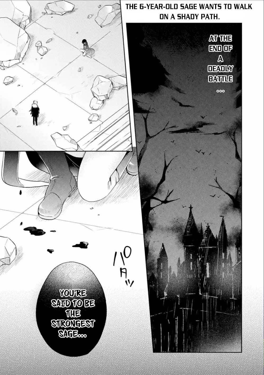 6-sai no Kenja wa Hikage no Michi wo Ayumitai Chapter 1 page 2 - Chapter 1