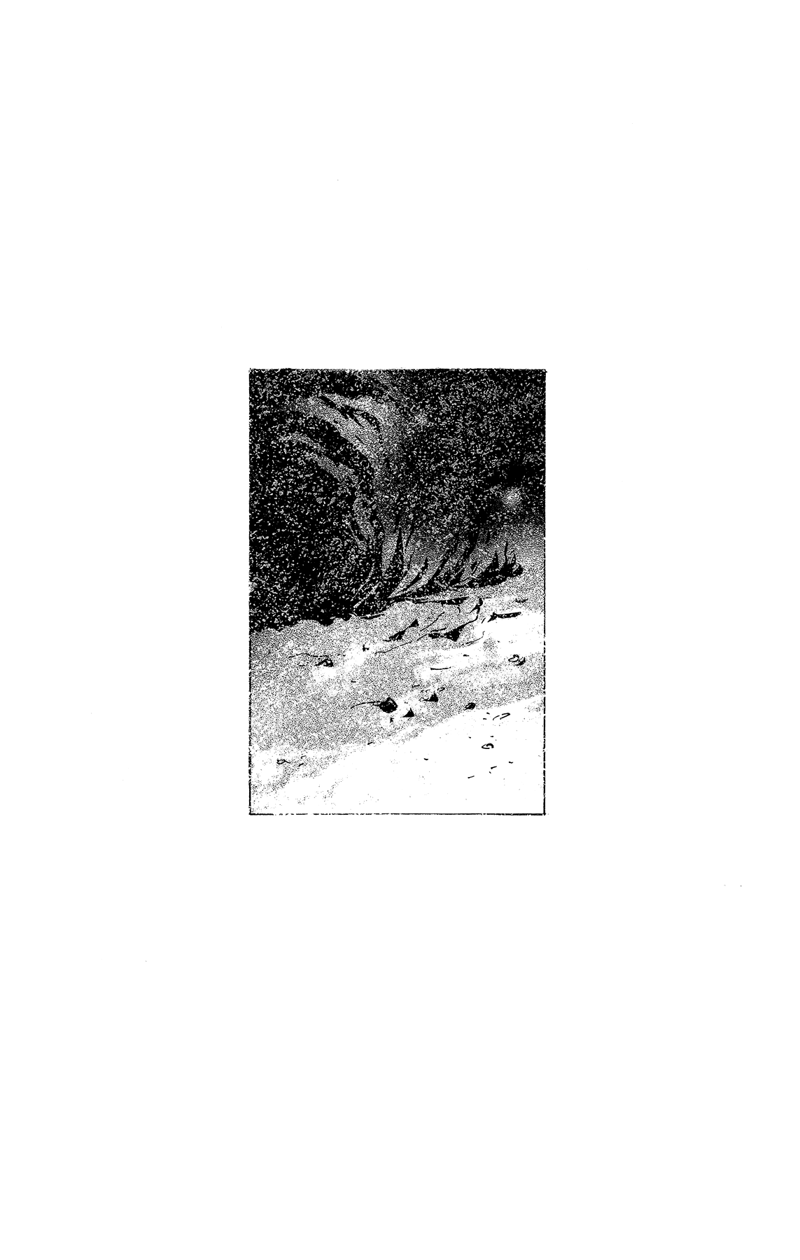7 Seeds Chapter 176 page 51 - Chapter 176: Final Chapter 1 [At the Break of Dawn]