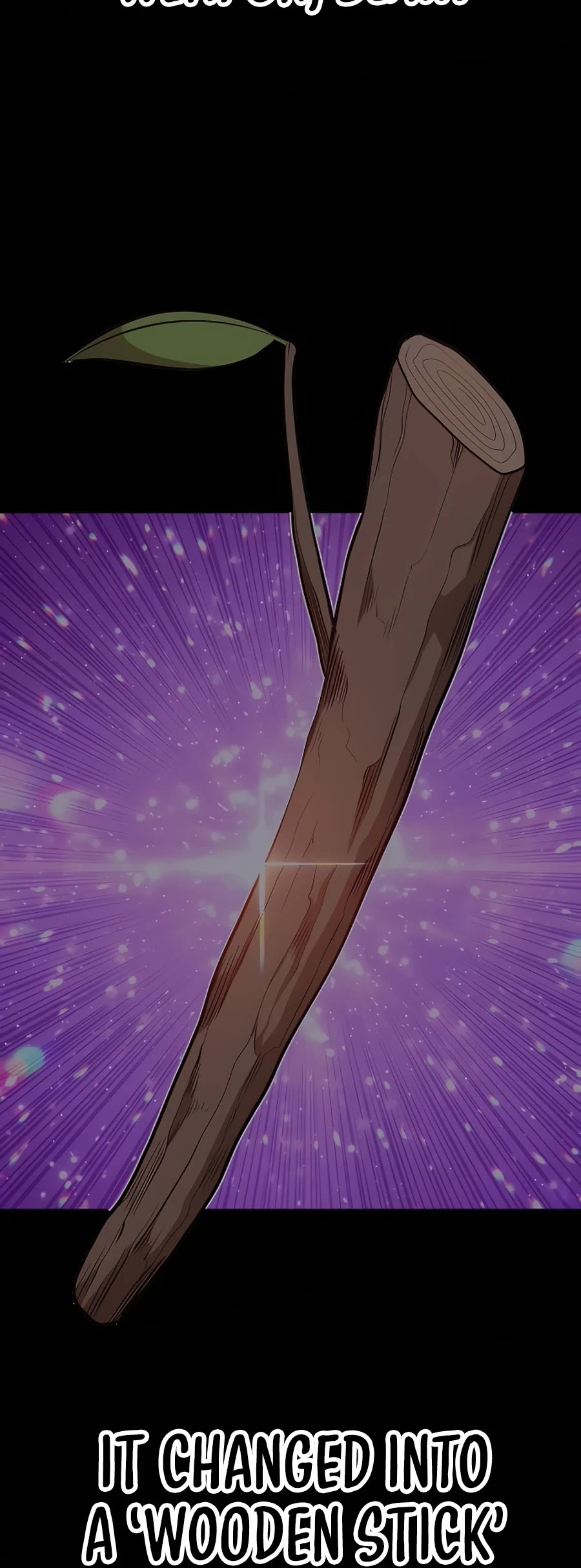 +99 Wooden Stick Chapter 50.6 page 116 - Chapter 50.6: Q&A Special (2)