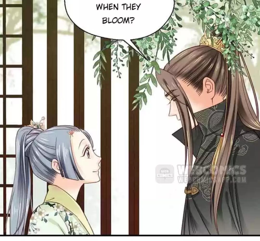A Beauty, a Fatal Concubine Chapter 104 page 24 - Chapter 104