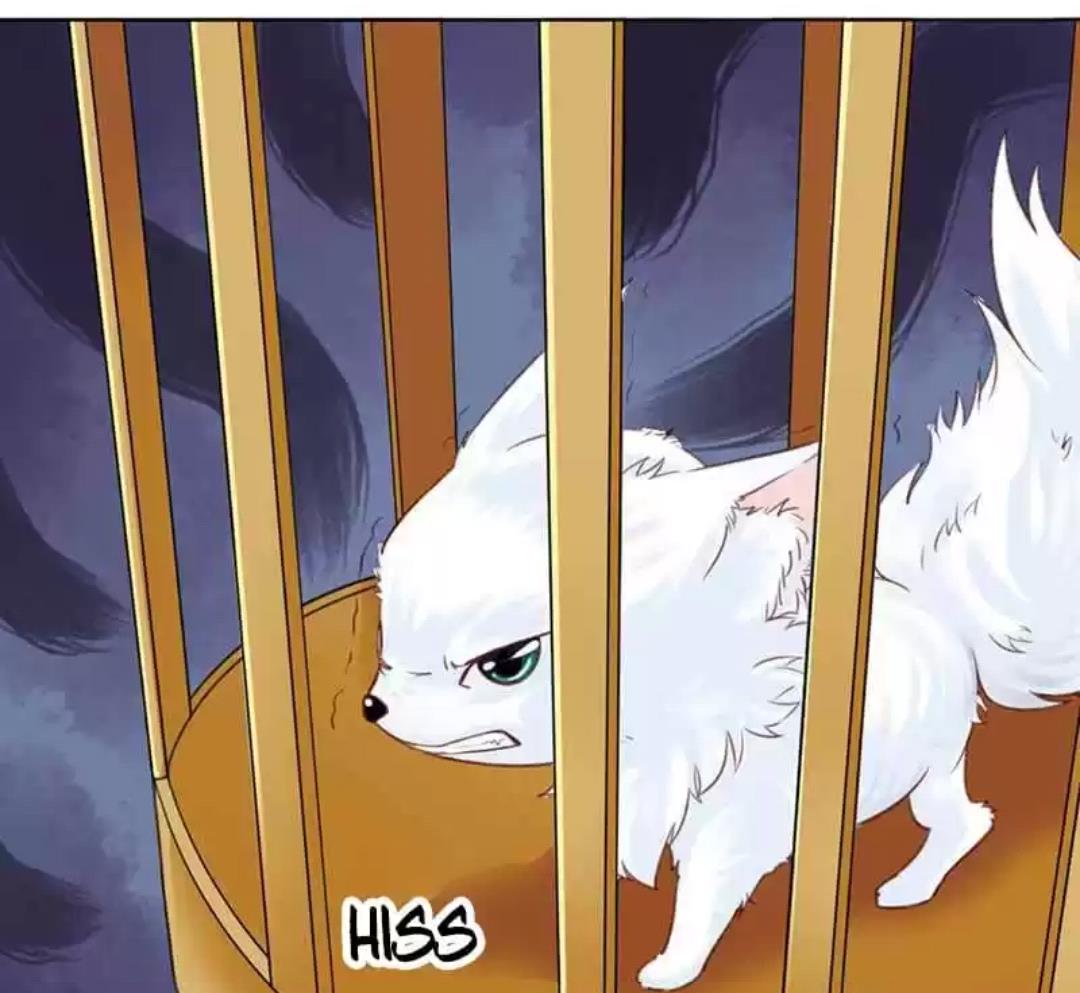 A Beauty, a Fatal Concubine Chapter 106 page 13 - Chapter 106