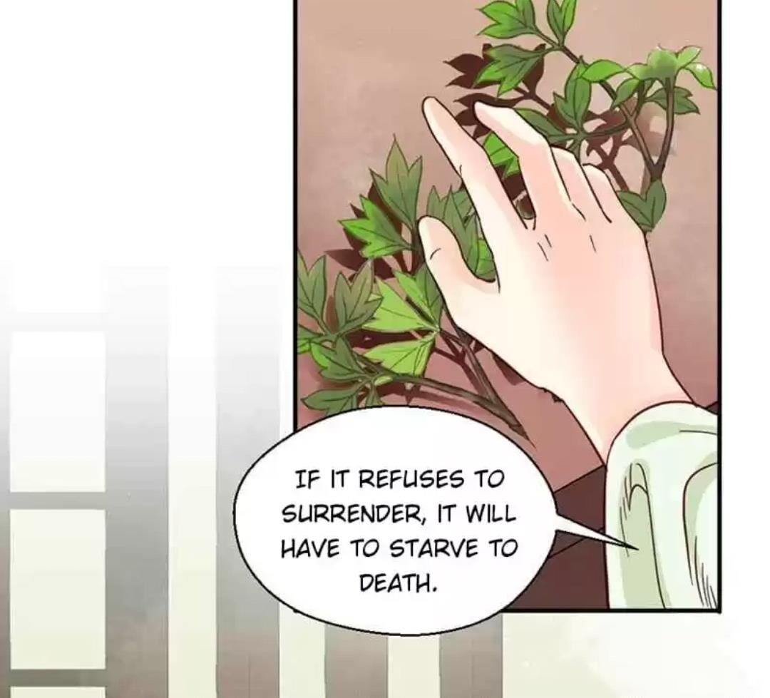 A Beauty, a Fatal Concubine Chapter 107 page 43 - Chapter 107