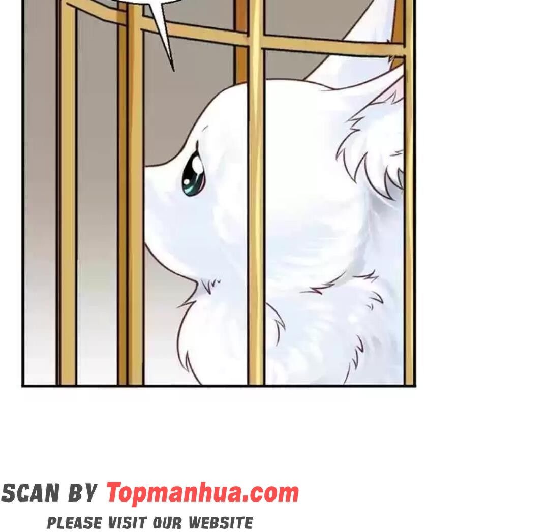 A Beauty, a Fatal Concubine Chapter 110 page 39 - Chapter 110