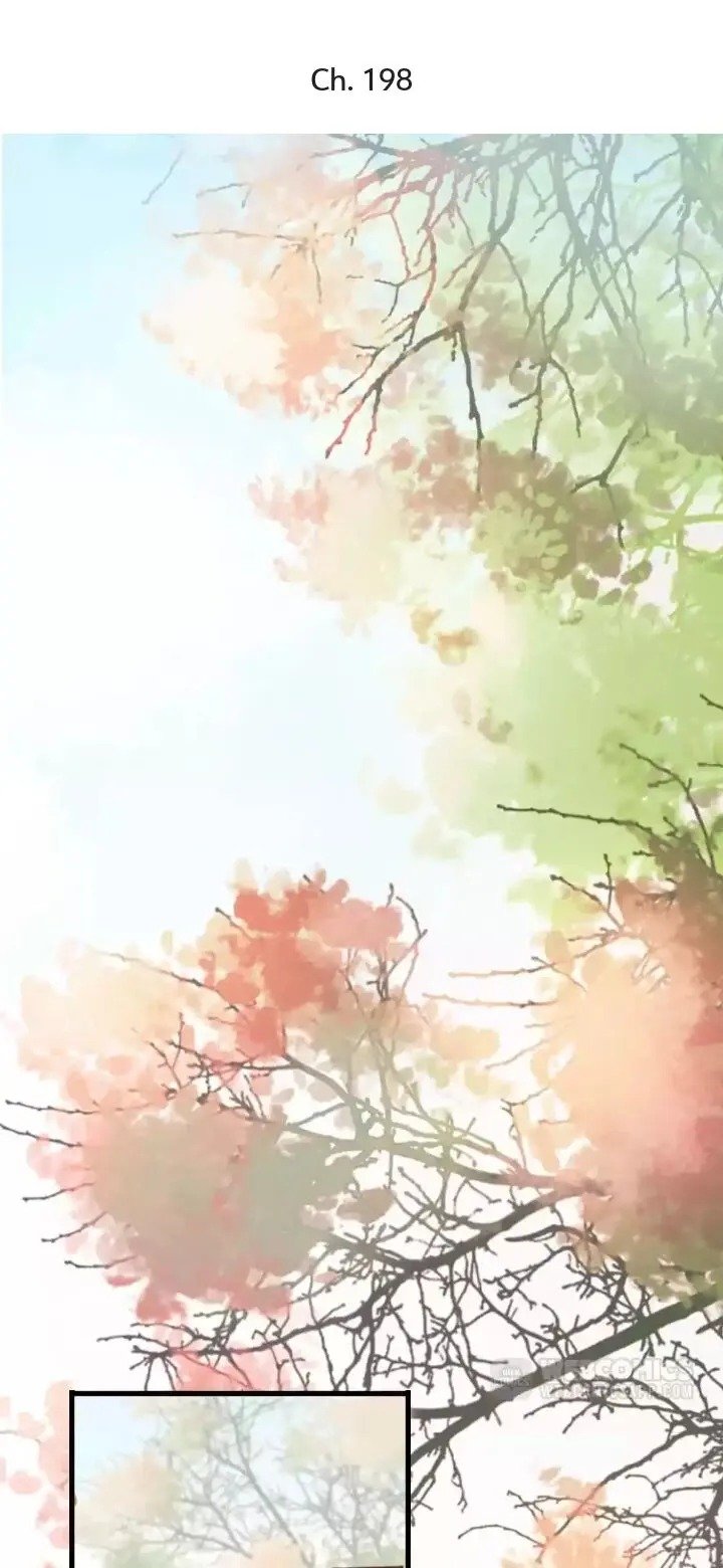 A Beauty, a Fatal Concubine Chapter 198 page 1 - Chapter 198