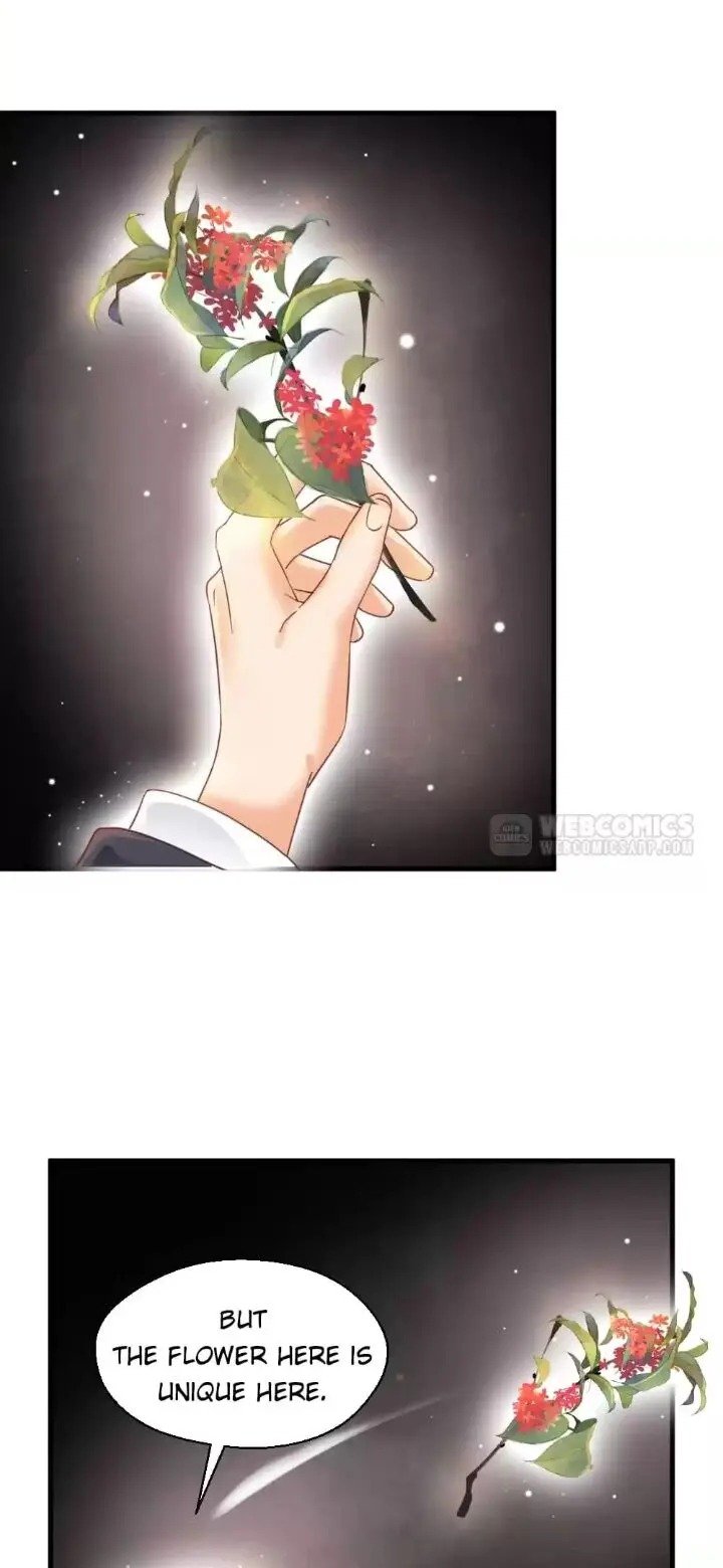A Beauty, a Fatal Concubine Chapter 203 page 8 - Chapter 203