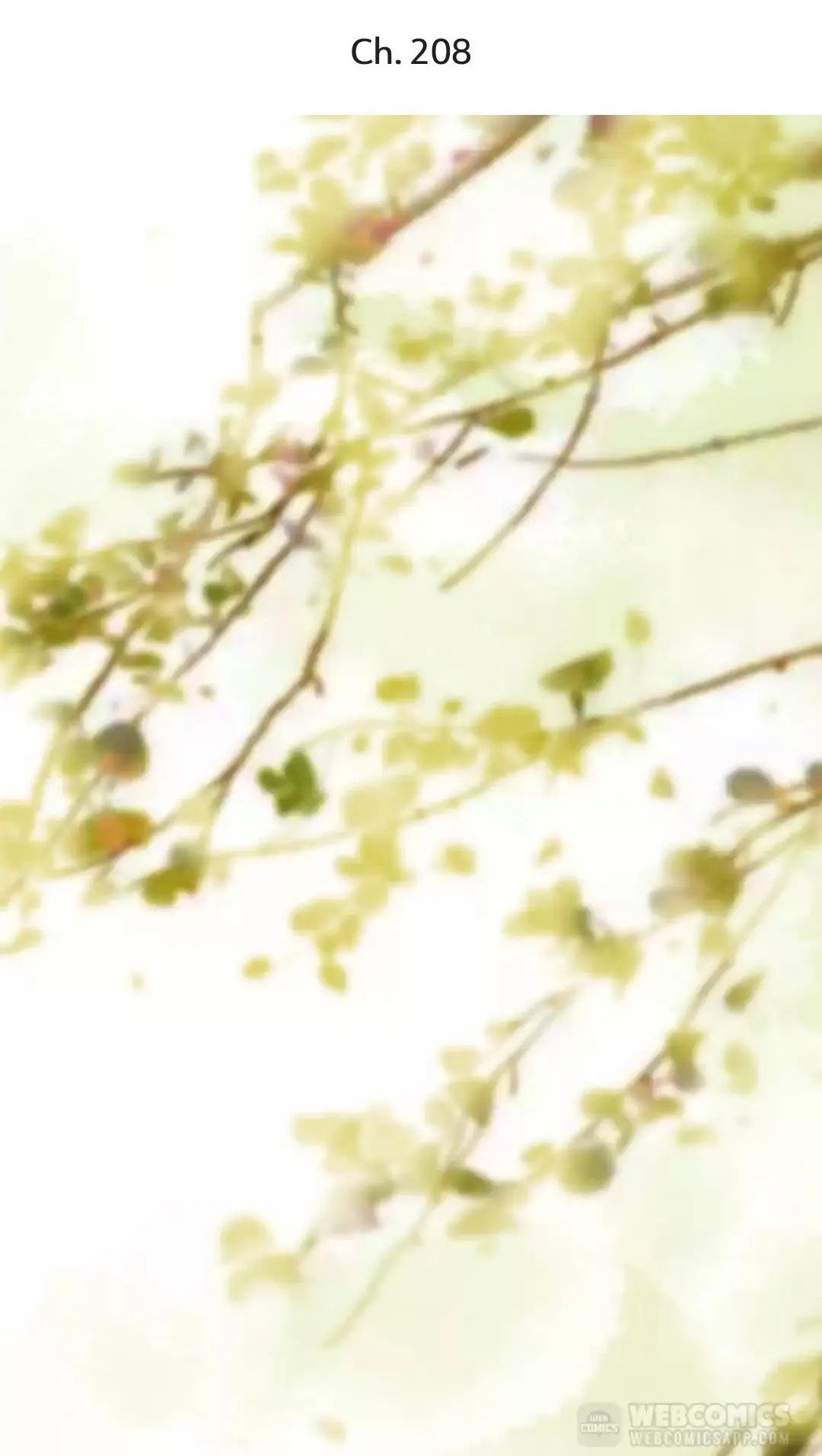 A Beauty, a Fatal Concubine Chapter 208 page 1 - Chapter 208