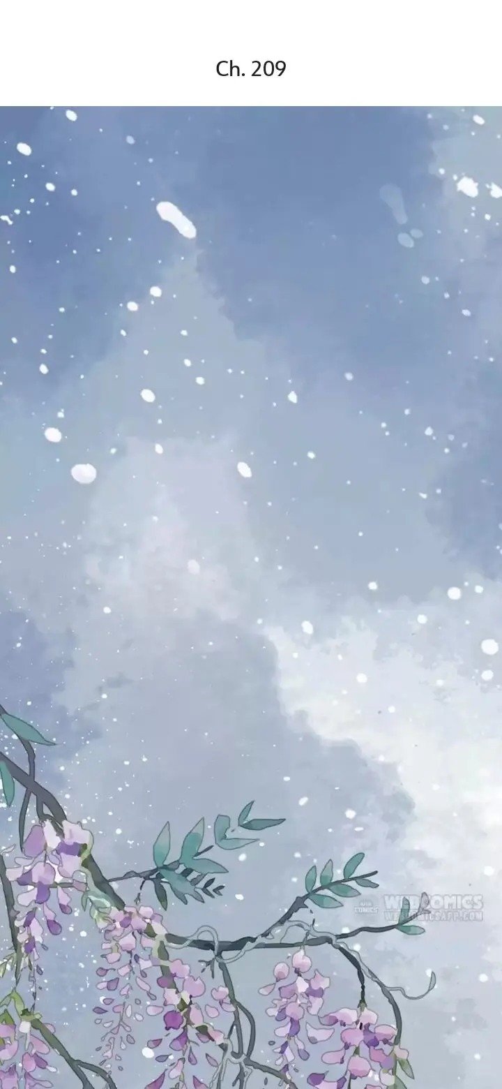 A Beauty, a Fatal Concubine Chapter 209 page 1 - Chapter 209