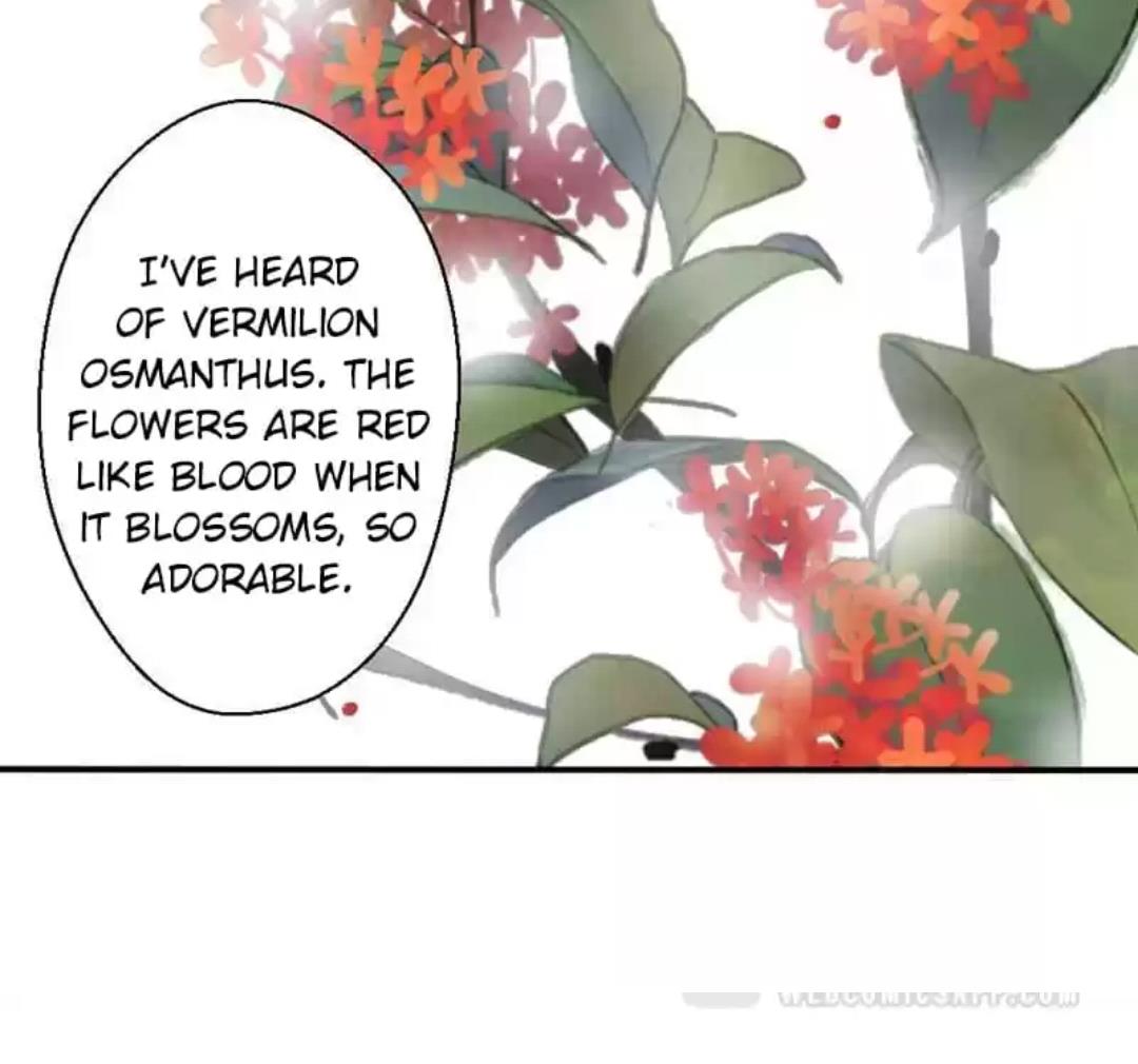 A Beauty, a Fatal Concubine Chapter 73 page 26 - Chapter 73