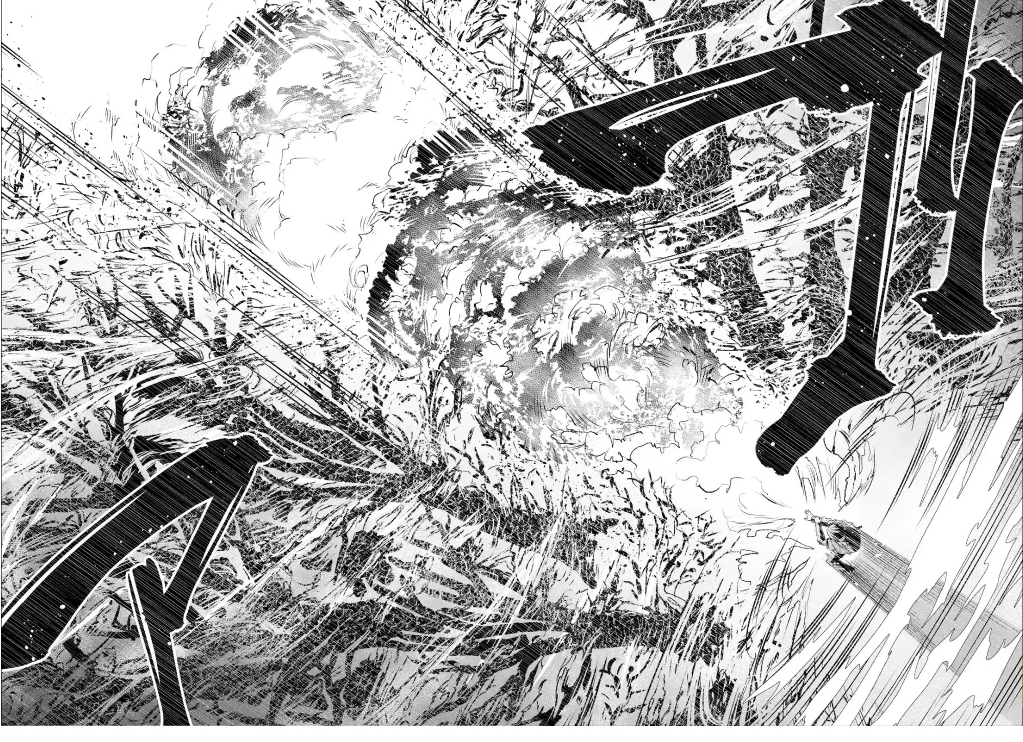 A Boy Who Has Been Reincarnated Twice Spends Peacefully as an S-Rank Adventurer, ~ I who was a Sage and a Hero of Previous World, Will Live in Peacefullness in the Next World~ Chapter 16 page 7 - Chapter 16: The newcomer's baptism and a new request
