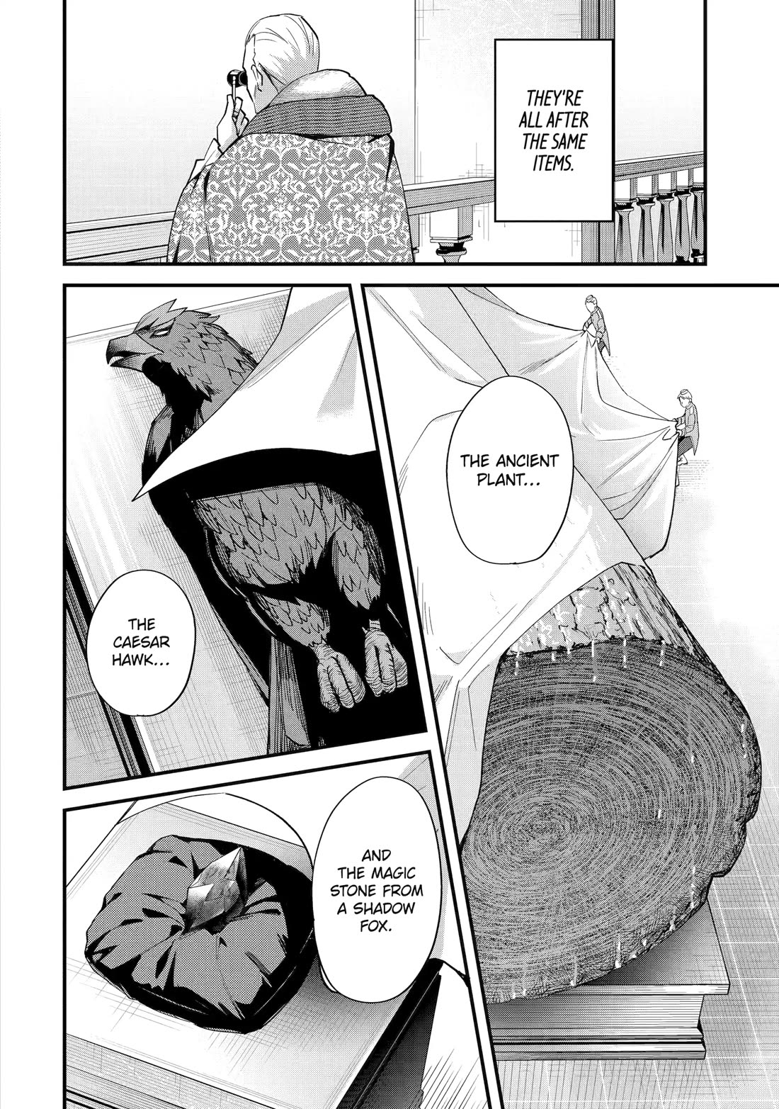 A Boy Who Has Been Reincarnated Twice Spends Peacefully as an S-Rank Adventurer, ~ I who was a Sage and a Hero of Previous World, Will Live in Peacefullness in the Next World~ Chapter 45 page 4 - Chapter 45