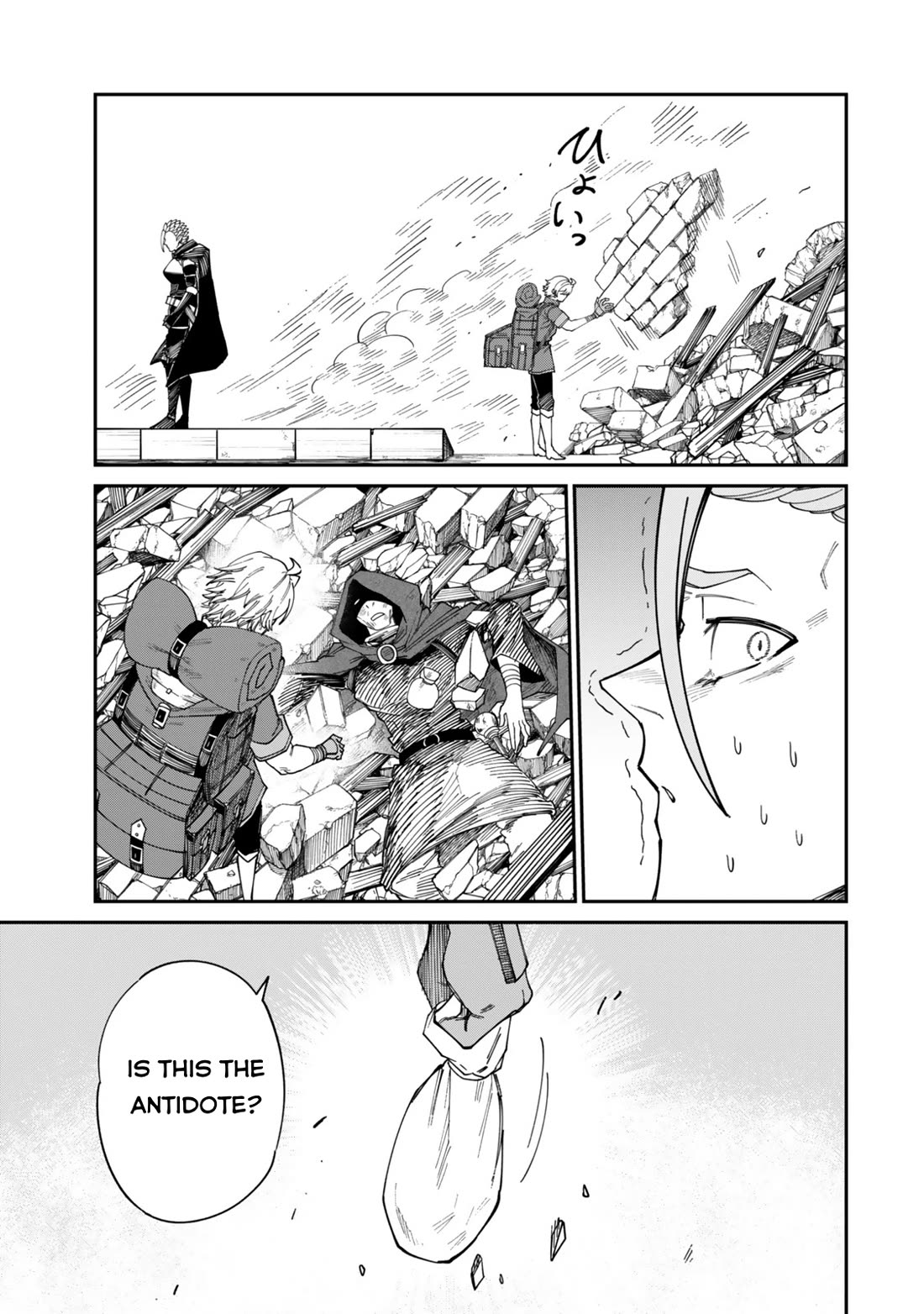 A Brainless Person Who Carries Luggage Chapter 20 page 27 - Chapter 20: The Unparalleled Luggage Carrier [END]