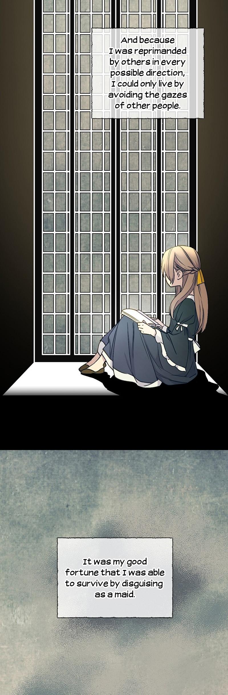 A Capable Maid Chapter 5 page 5 - Chapter 5
