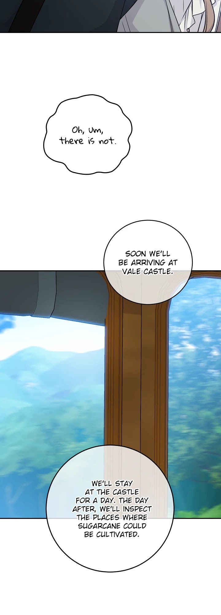 A Capable Maid Chapter 50 page 17 - Chapter 50