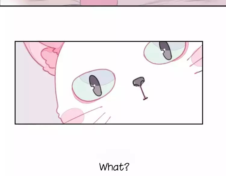 A Cat's World Chapter 1 page 11 - Chapter 1: Transformation