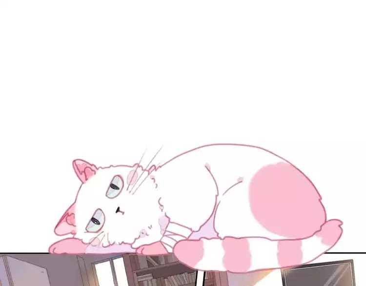 A Cat's World Chapter 1 page 12 - Chapter 1: Transformation