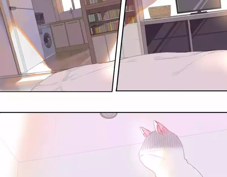 A Cat's World Chapter 1 page 13 - Chapter 1: Transformation