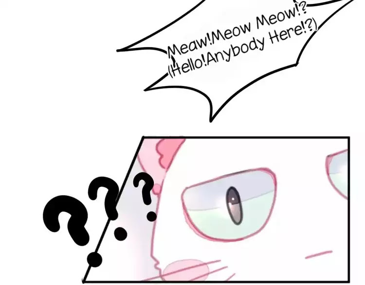 A Cat's World Chapter 1 page 15 - Chapter 1: Transformation