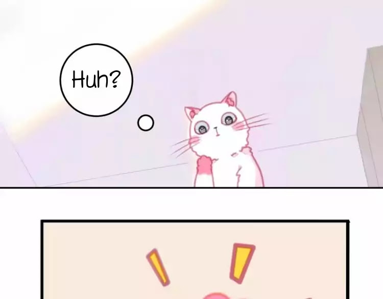 A Cat's World Chapter 1 page 17 - Chapter 1: Transformation