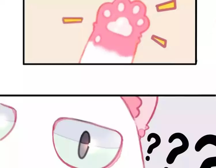 A Cat's World Chapter 1 page 18 - Chapter 1: Transformation