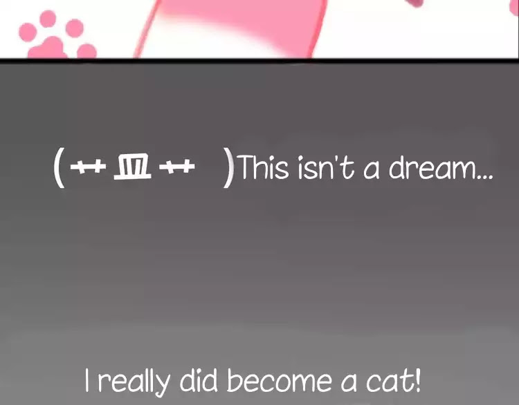 A Cat's World Chapter 1 page 27 - Chapter 1: Transformation