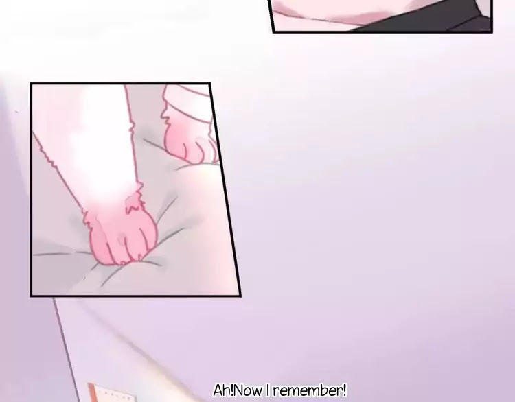 A Cat's World Chapter 1 page 33 - Chapter 1: Transformation