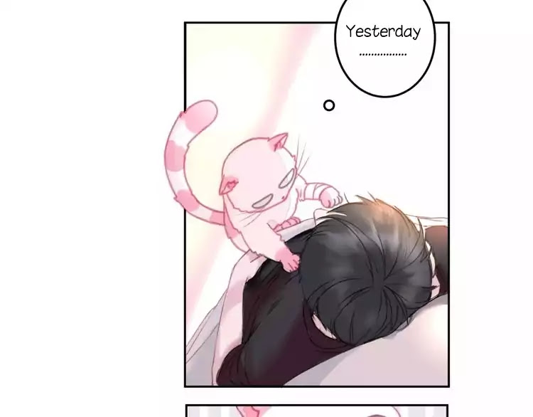 A Cat's World Chapter 1 page 35 - Chapter 1: Transformation