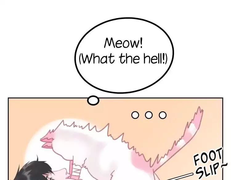A Cat's World Chapter 1 page 40 - Chapter 1: Transformation
