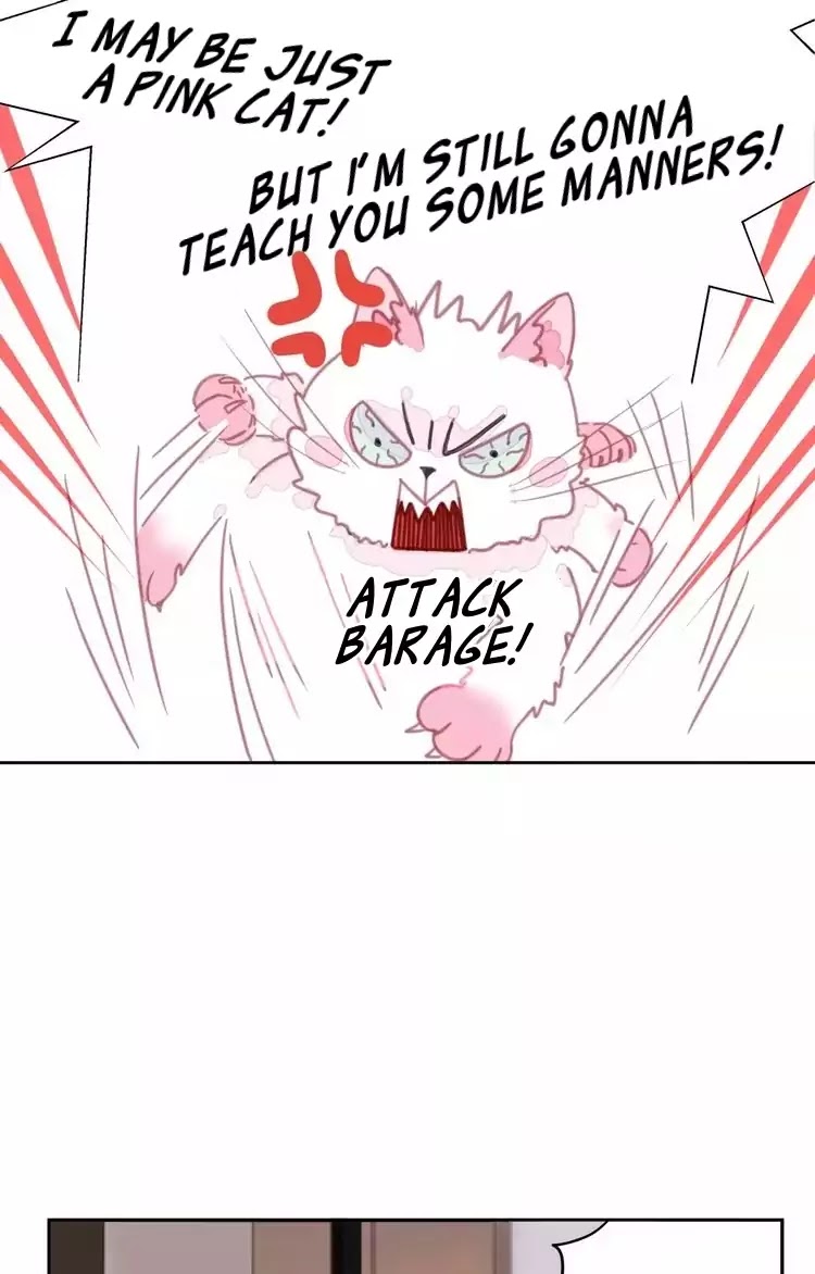 A Cat's World Chapter 1 page 75 - Chapter 1: Transformation