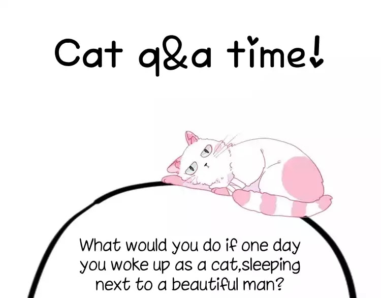 A Cat's World Chapter 1 page 80 - Chapter 1: Transformation