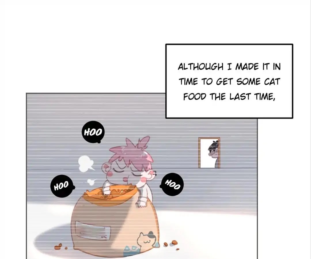 A Cat's World Chapter 10 page 5 - Chapter 10