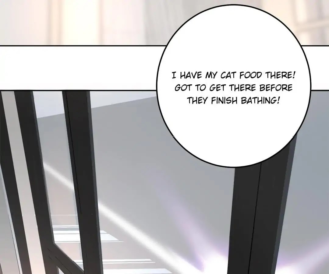A Cat's World Chapter 12 page 17 - Chapter 12