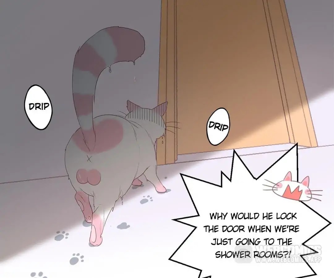 A Cat's World Chapter 12 page 22 - Chapter 12