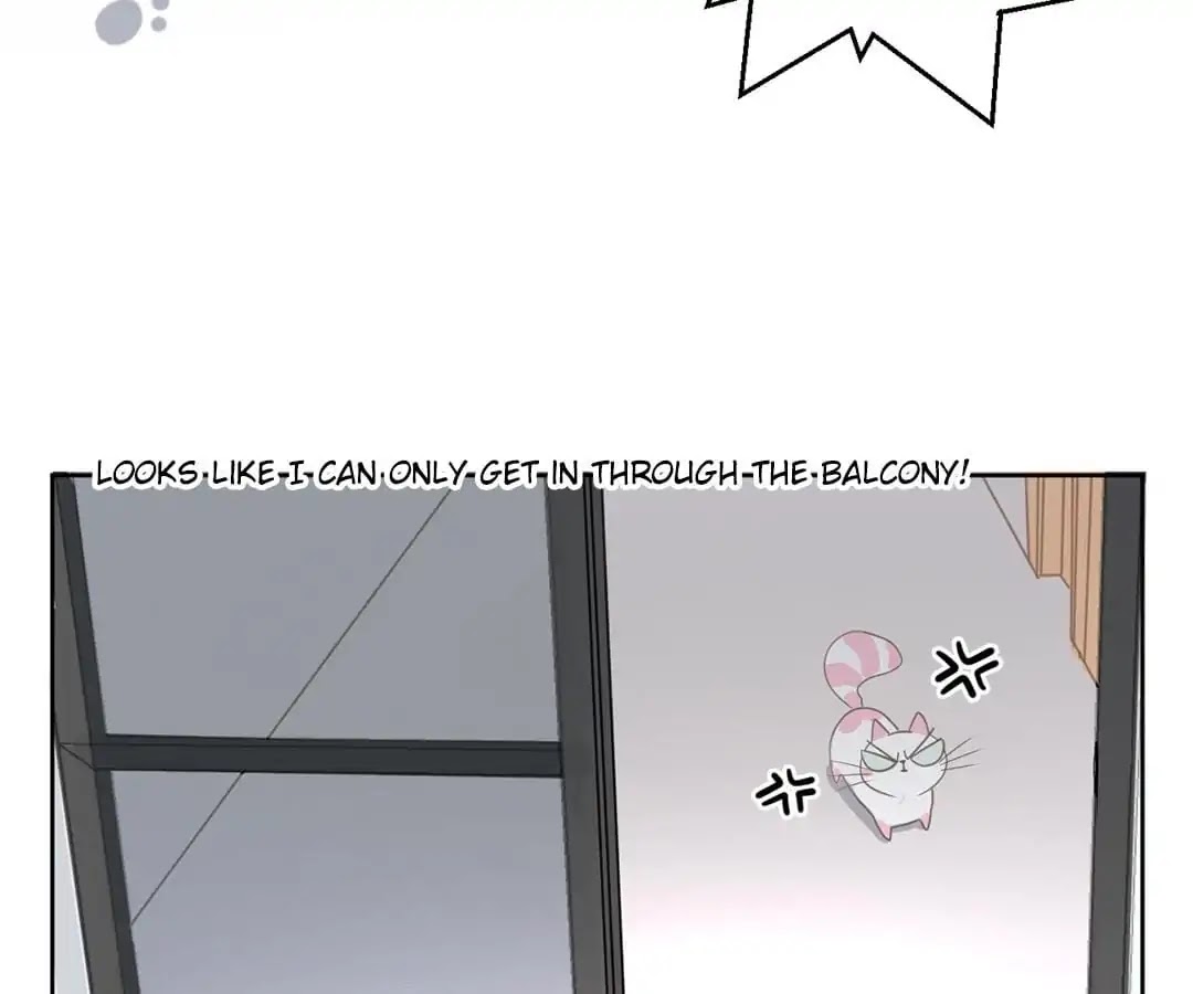 A Cat's World Chapter 12 page 23 - Chapter 12