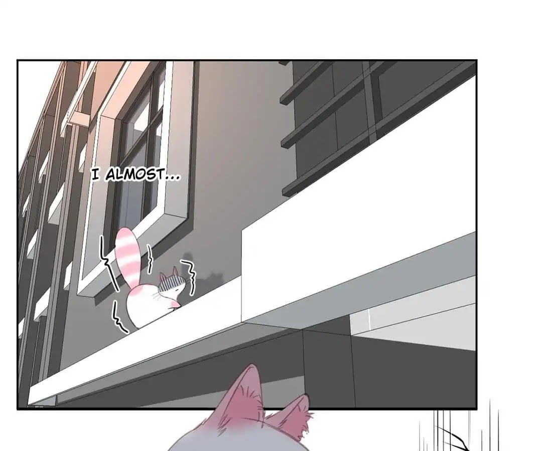 A Cat's World Chapter 12 page 27 - Chapter 12