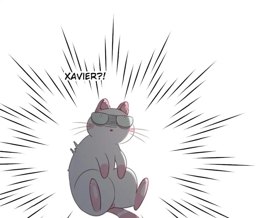 A Cat's World Chapter 12 page 43 - Chapter 12