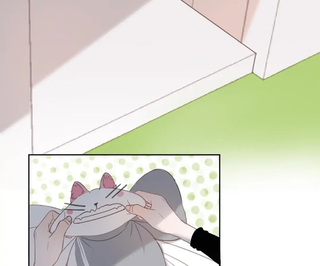 A Cat's World Chapter 12 page 52 - Chapter 12