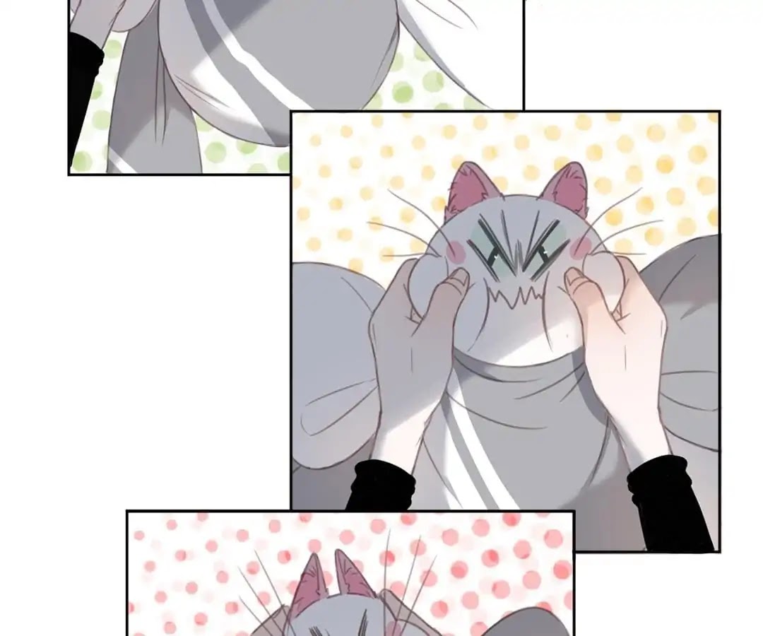 A Cat's World Chapter 12 page 53 - Chapter 12