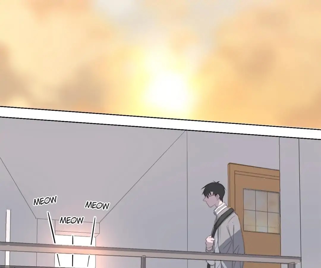 A Cat's World Chapter 12 page 57 - Chapter 12