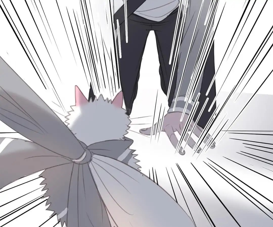 A Cat's World Chapter 12 page 69 - Chapter 12