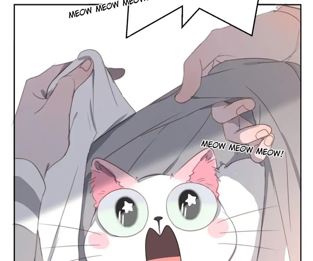 A Cat's World Chapter 12 page 71 - Chapter 12