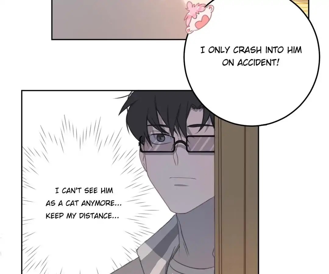 A Cat's World Chapter 12 page 79 - Chapter 12