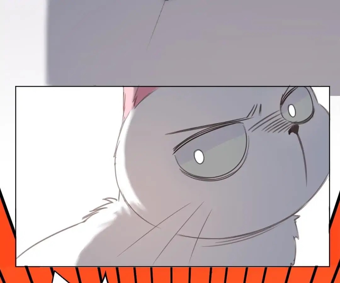 A Cat's World Chapter 13 page 19 - Chapter 13